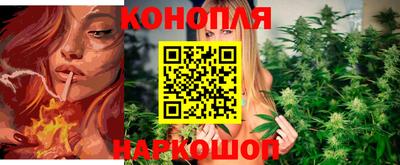дмт Славгород