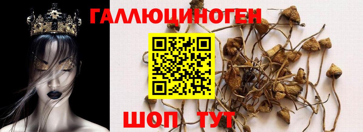 Галлюциногенные грибы ЛСД Приморско-Ахтарск
