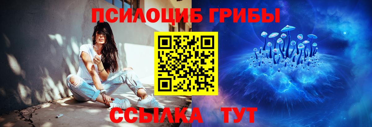 Приморско-Ахтарск  Псилоцибиновые грибы GOLDEN TEACHER  Вход с VPN  Галлюциногенные грибы мицелий 